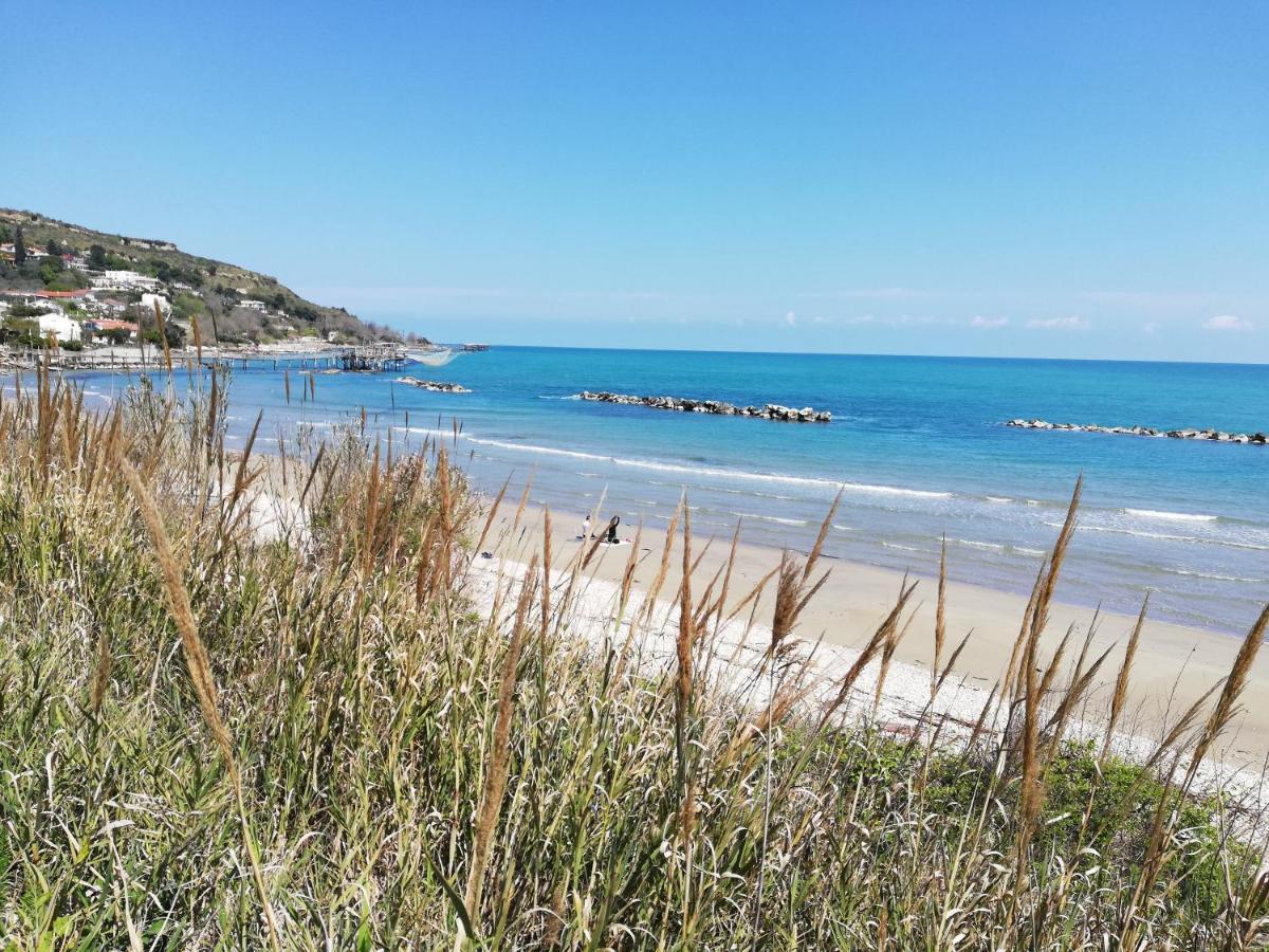 Sole & Querce Apartments- Bike Friendly With Garage Lanciano Luaran gambar