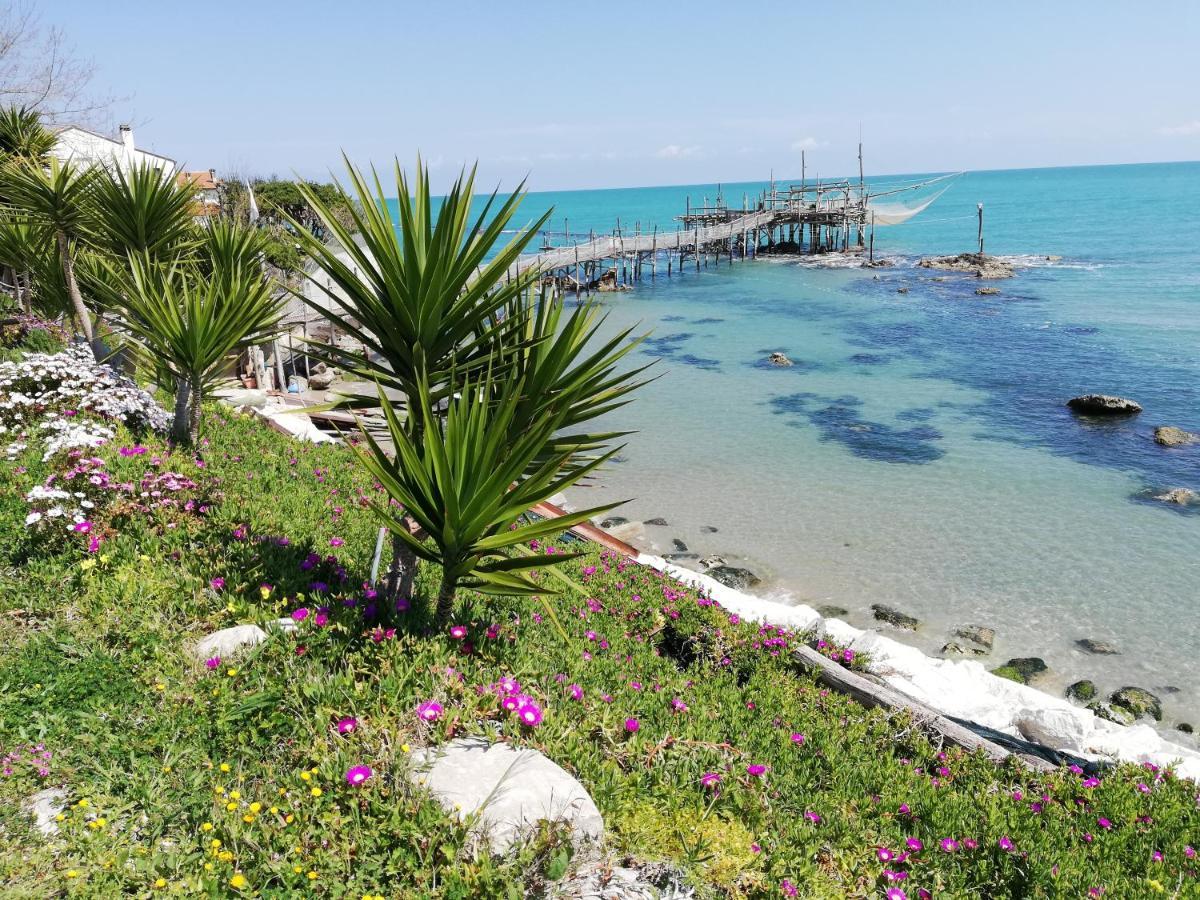 Sole & Querce Apartments- Bike Friendly With Garage Lanciano Luaran gambar